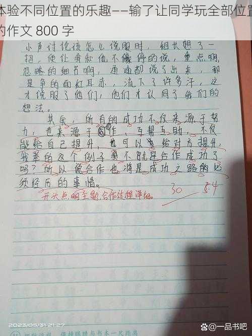 体验不同位置的乐趣——输了让同学玩全部位置的作文 800 字