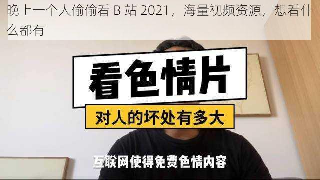 晚上一个人偷偷看 B 站 2021，海量视频资源，想看什么都有