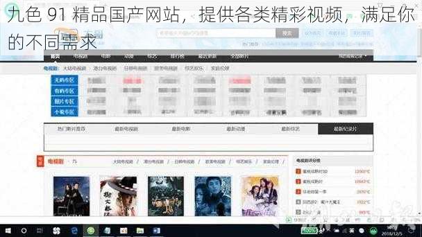 九色 91 精品国产网站，提供各类精彩视频，满足你的不同需求