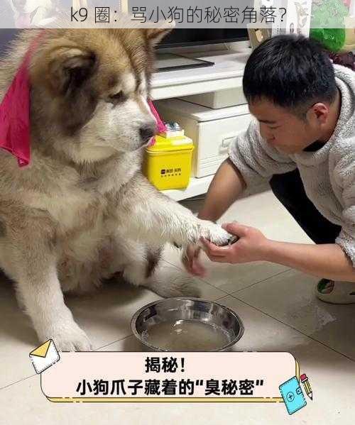 k9 圈：骂小狗的秘密角落？