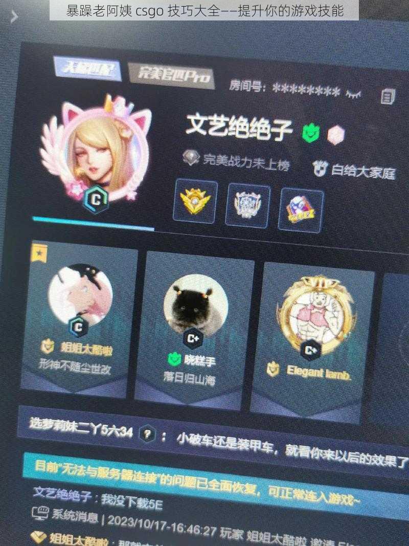 暴躁老阿姨 csgo 技巧大全——提升你的游戏技能